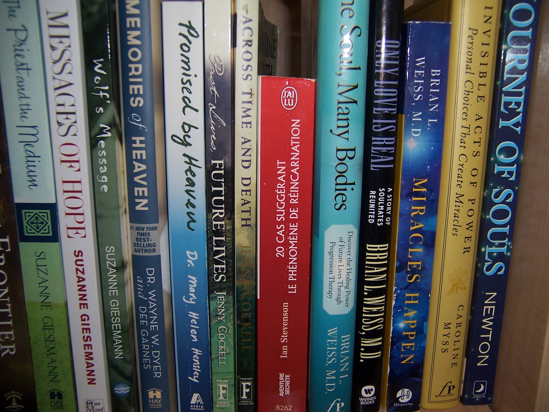 How This Crazy Journey Began…