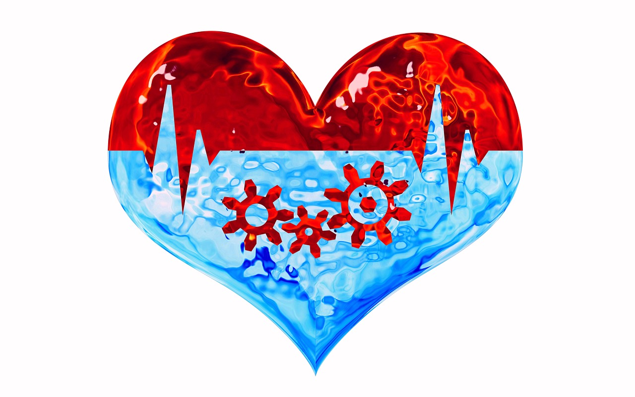 Can an Organ Transplant Alter Your Identity?