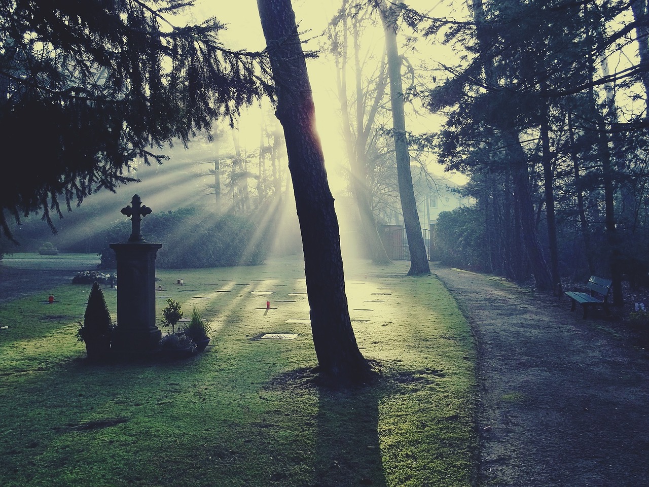 Can Dreams Predict Death?