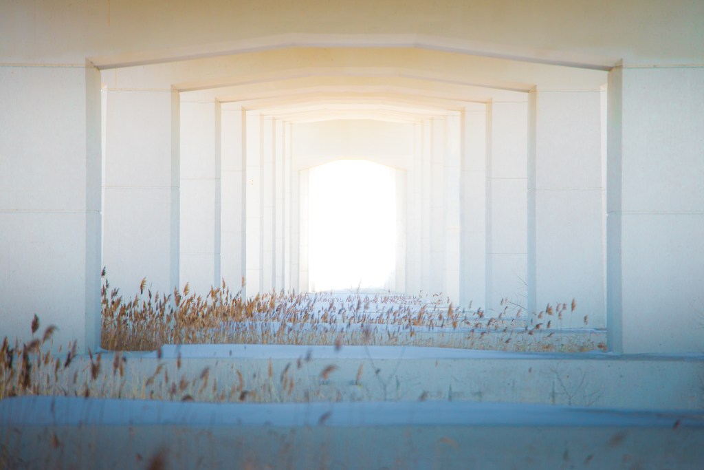 My New Book, Beyond Death, Is&nbsp;Out!